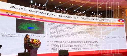 上卿臻盞創始人出席燕窩質量認證全球學術交流盛會，鞏固品牌在教育+服務行業的話語權