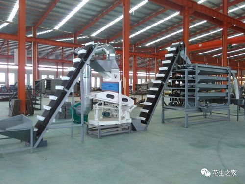 青島楓林花生機械 專業機械設備，驅動產業升級