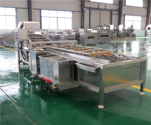 河南地區(qū)高壓噴淋蔬菜清洗機選購指南與優(yōu)質(zhì)供應(yīng)商推薦——諸城市利特食品機械